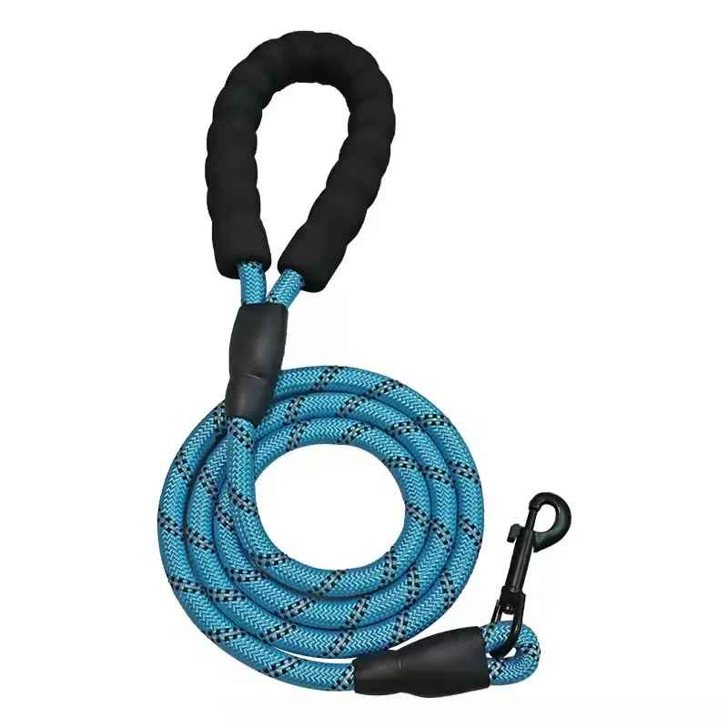 Laisse chien bleu ciel