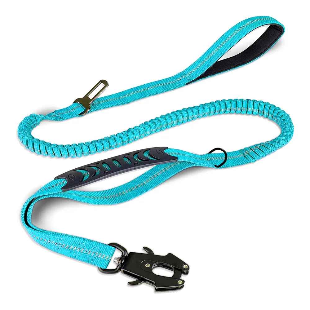 Laisse chien couleur bleu pale