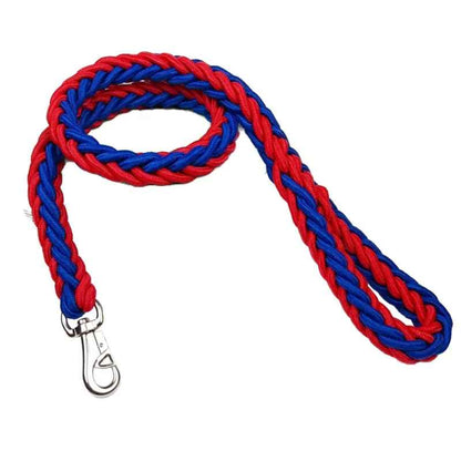 Laisse chien couleur rouge bleu