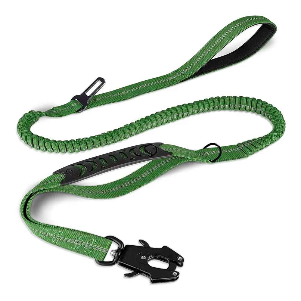 Laisse chien couleur vert