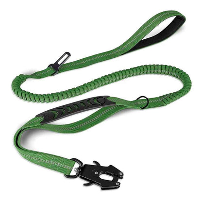 Laisse chien couleur vert