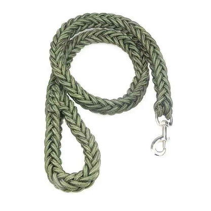  Laisse chien couleur vert_e