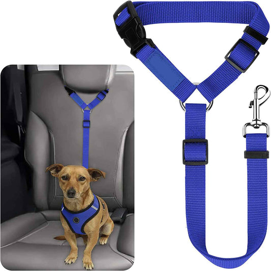 Laisse chien de securite voiture bleu
