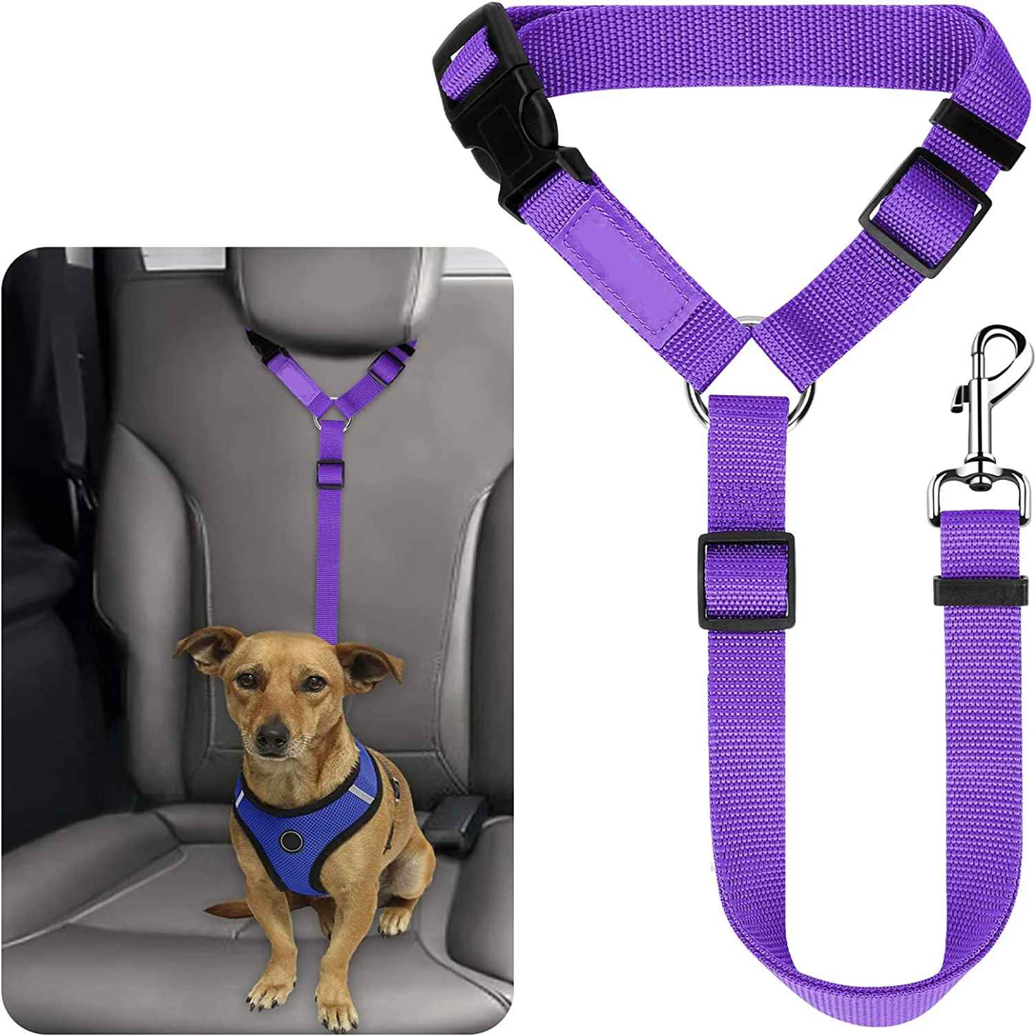 Laisse chien de securite voiture violet