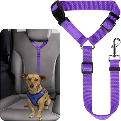 Laisse chien de securite voiture violet