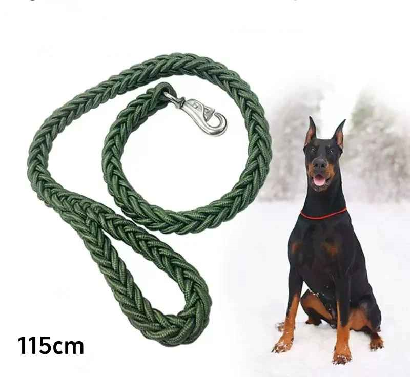 Laisse chien demontrant doberman