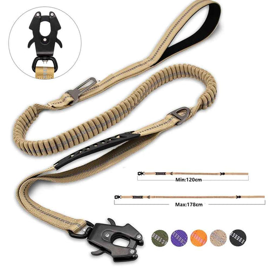 Laisse chien detailler double poignee et attache