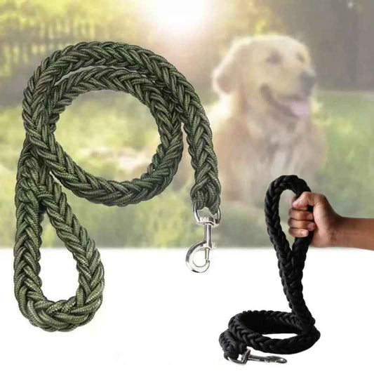 Laisse chien nature demonstration