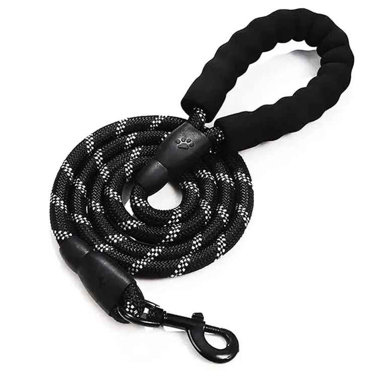 Laisse chien noir