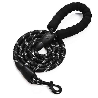 Laisse chien noir