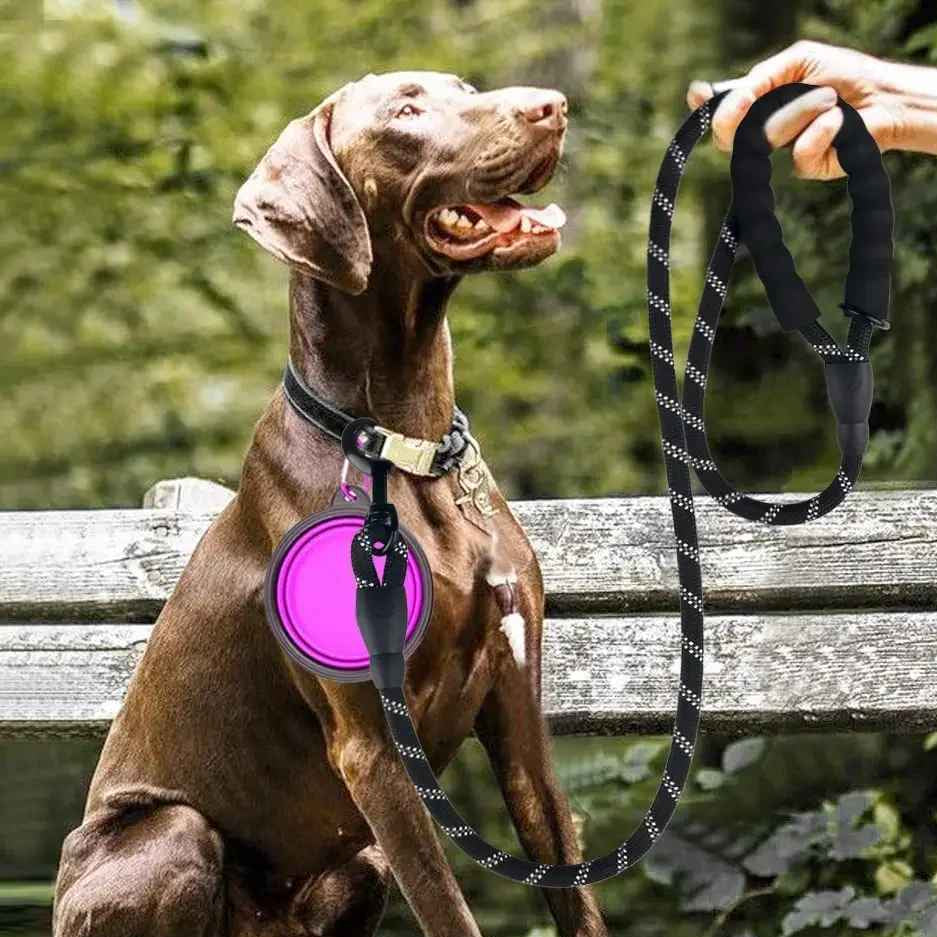 Laisse chien randonne