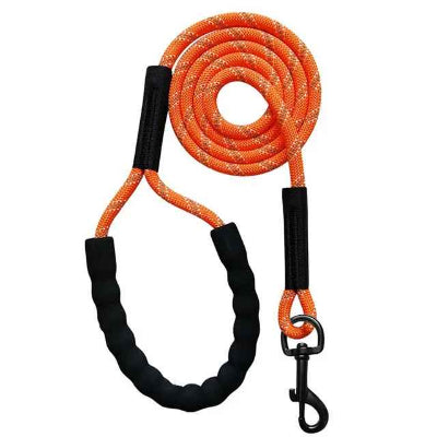 Laisse longe pour chien orange
