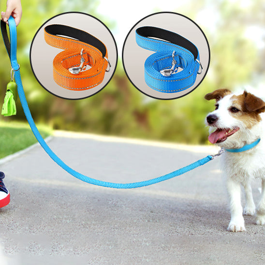 Laisse pour chien a la marche