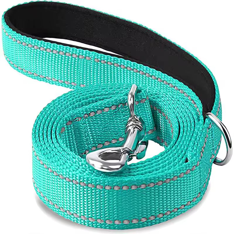 Laisse pour chien aqua