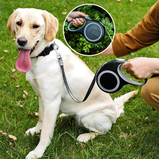 Laisse pour chien assis avec son maitre