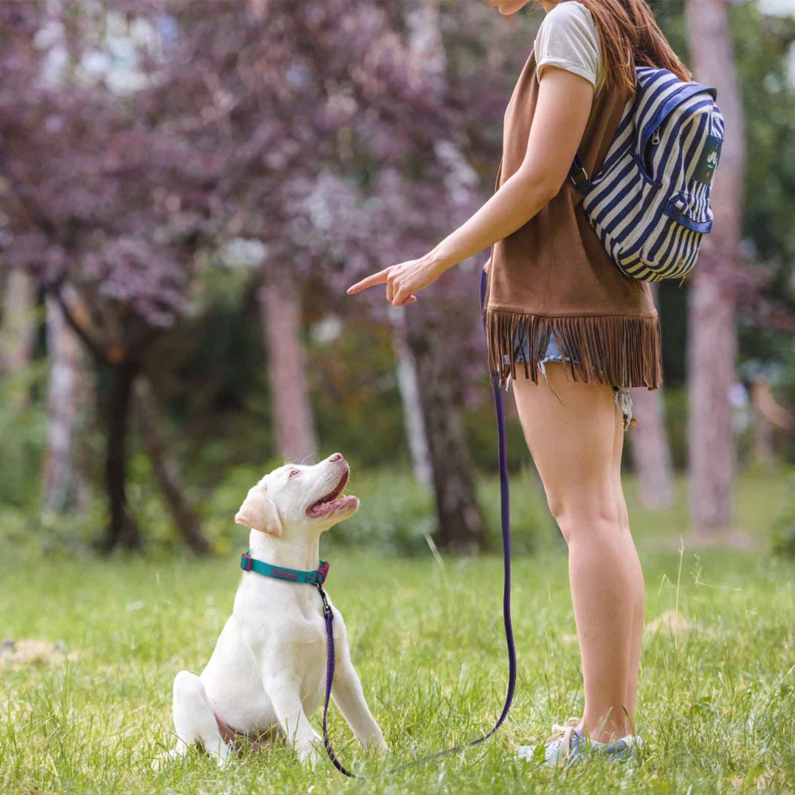 Laisse pour chien avec chien et fille en campagne