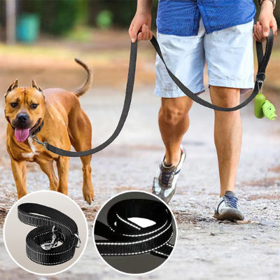 Laisse pour chien avec chien et maitre