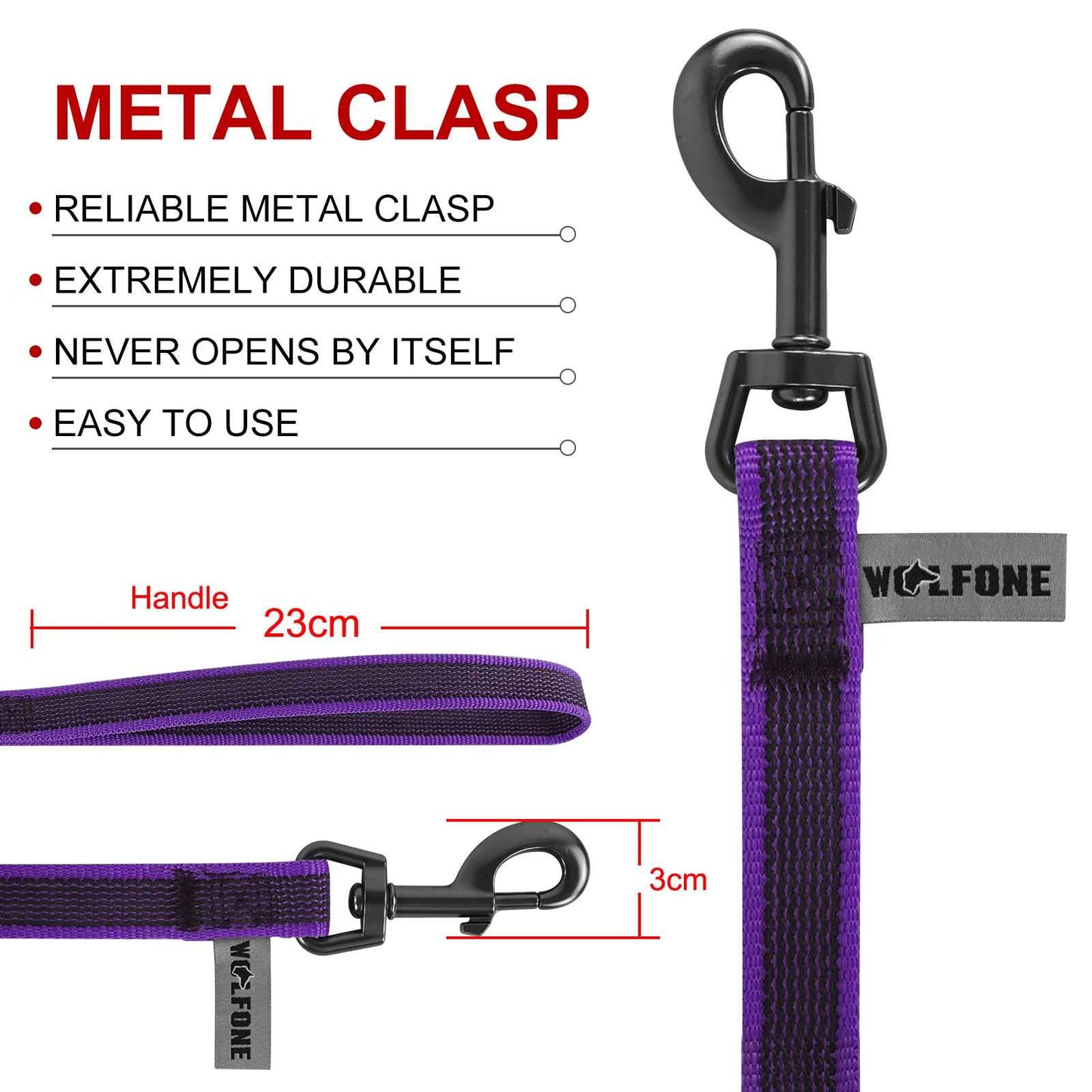 Laisse pour chien avec descriptif