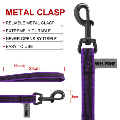 Laisse pour chien avec descriptif