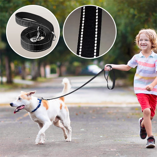 Laisse pour chien avec enfant