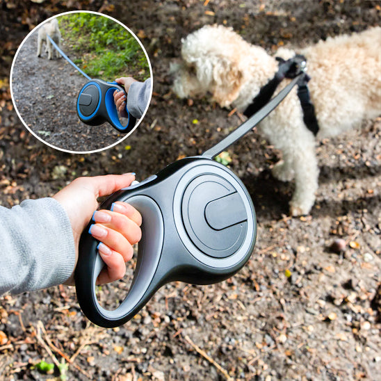 Laisse pour chien avec main demonstratif