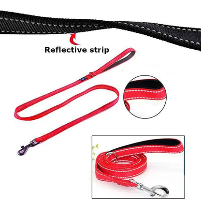 Laisse pour chien bande reflechissante