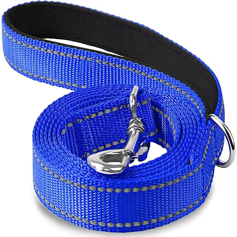 Laisse pour chien bleu