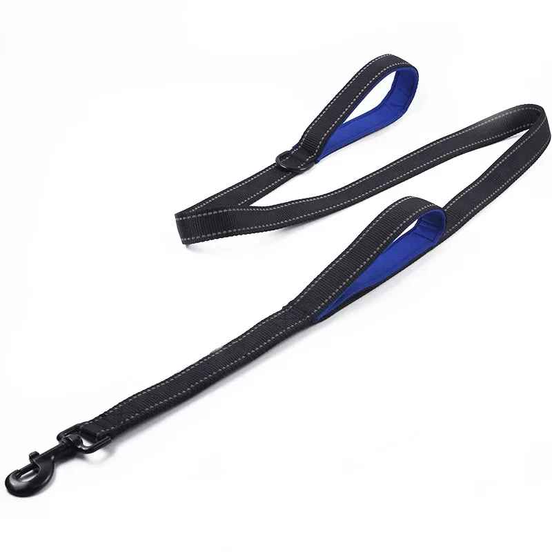 Laisse pour chien bleu