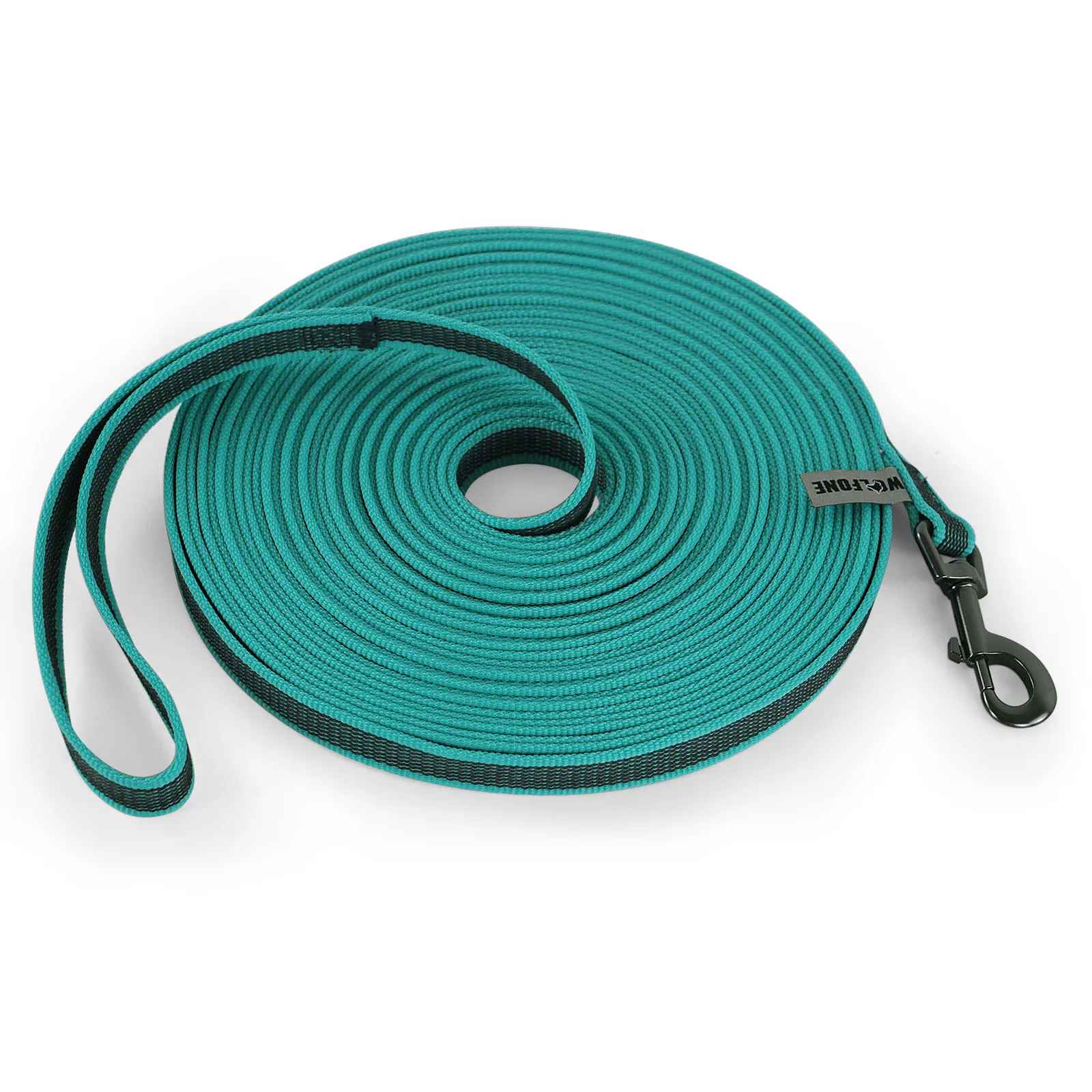 Laisse pour chien couleur vert