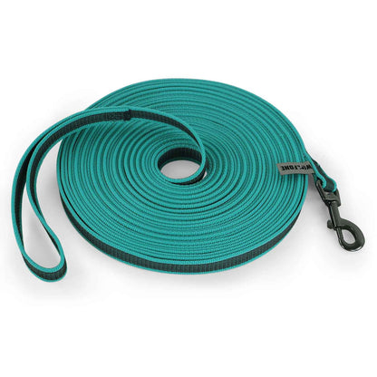 Laisse pour chien couleur vert