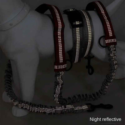 Laisse pour chien | Main libre