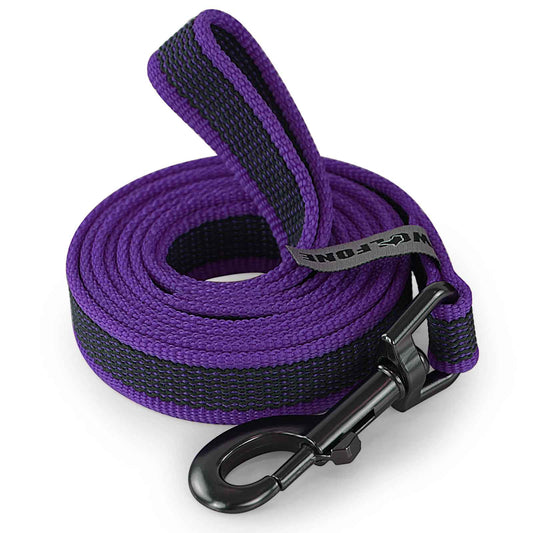 Laisse pour chien double couleur