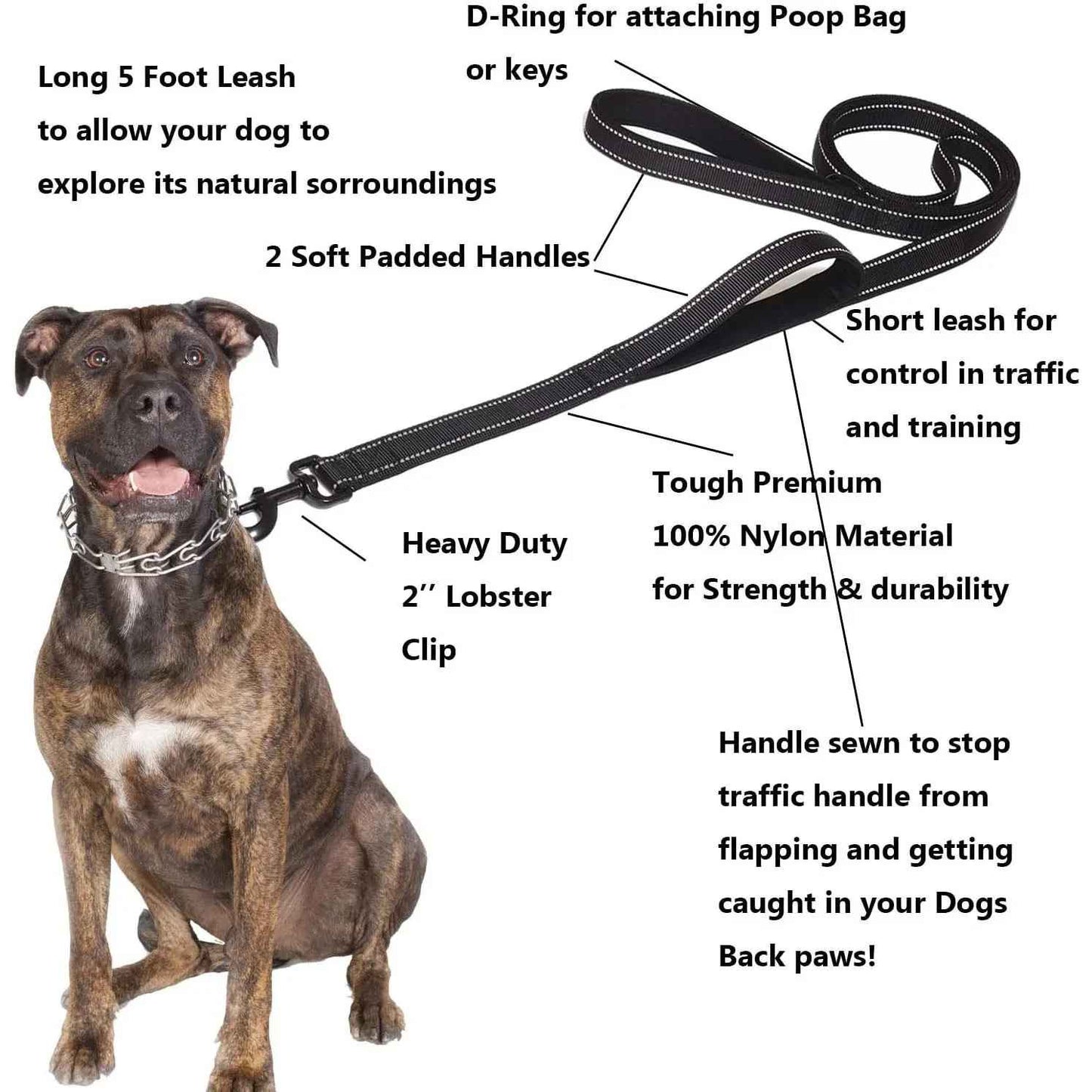 Laisse pour chien double poignee avec chien
