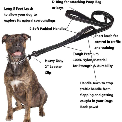 Laisse pour chien double poignee avec chien