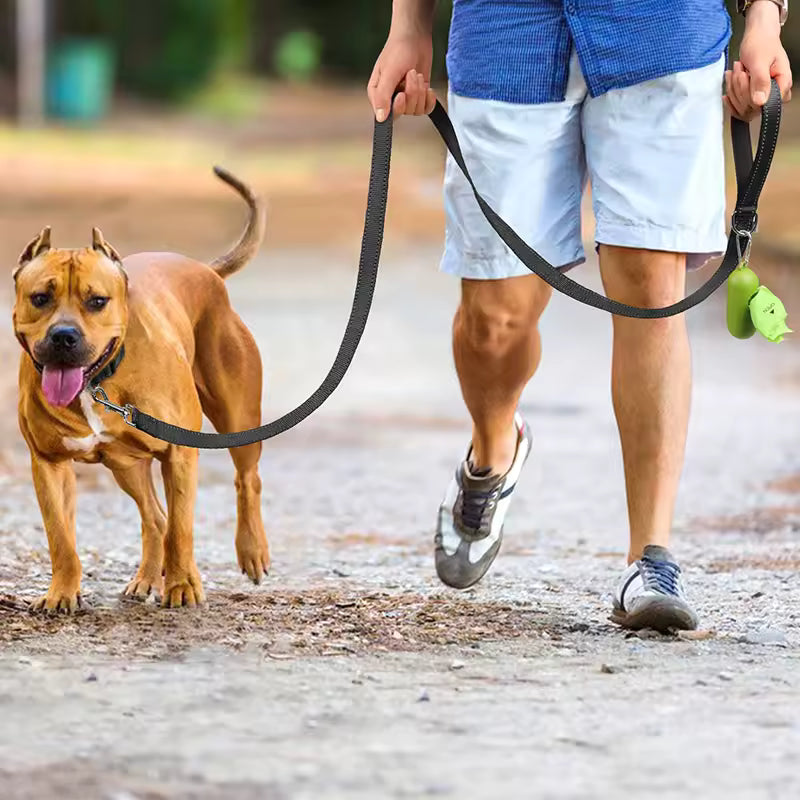 Laisse pour chien en promenade