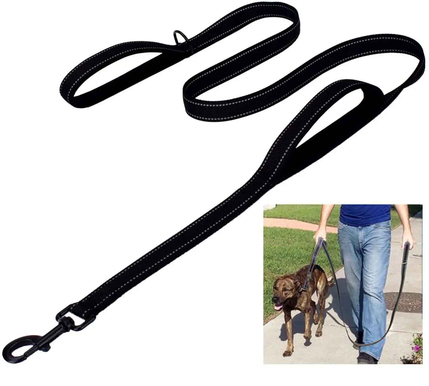 Laisse pour chien en promenade