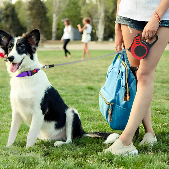 Laisse pour chien enrouleur avec chien assis avec ecolier