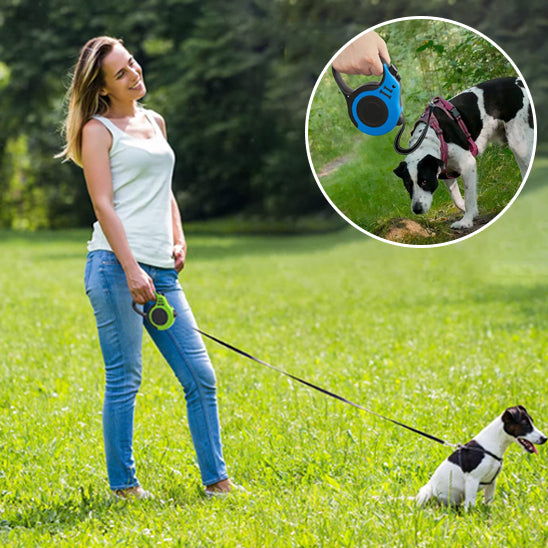 Laisse pour chien enrouleur avec chien blanc et noir