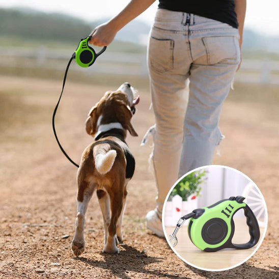 Laisse pour chien enrouleur avec chien et photo