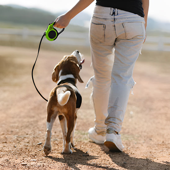 Laisse pour chien enrouleur avec chien et son maitre de dos