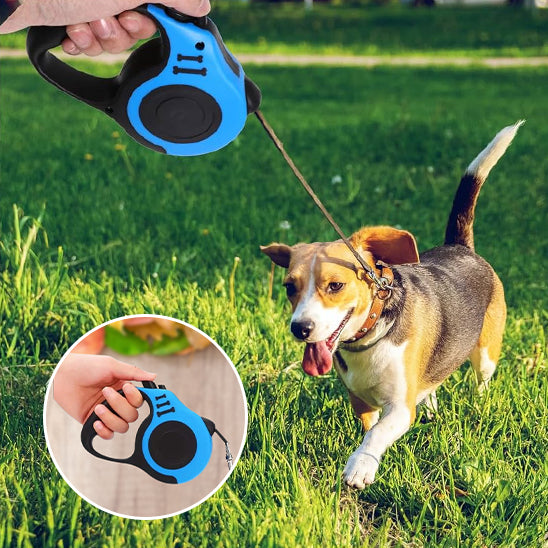 Laisse pour chien enrouleur avec cocker a la decouverte
