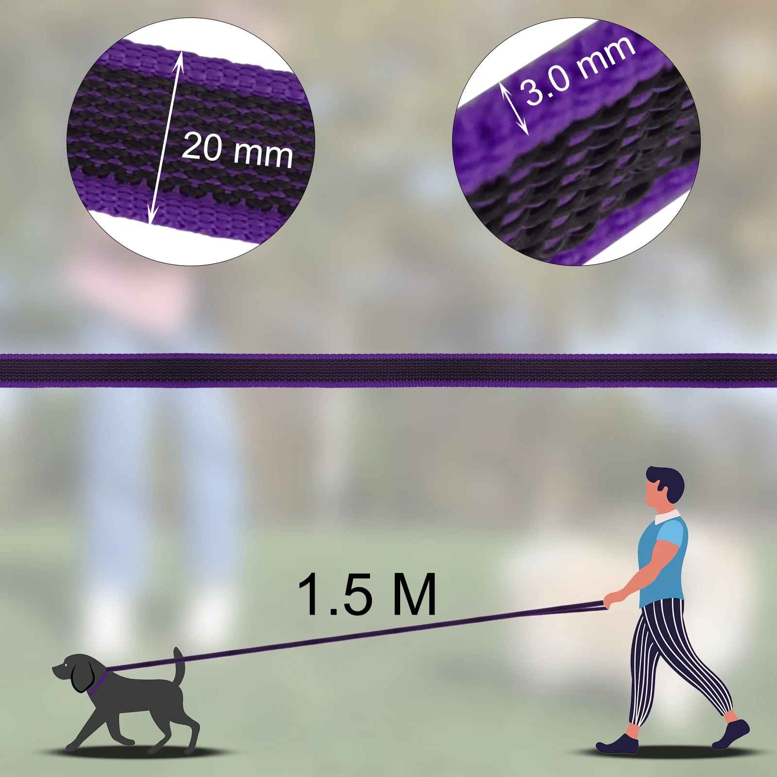 Laisse pour chien grandeur et largeur court