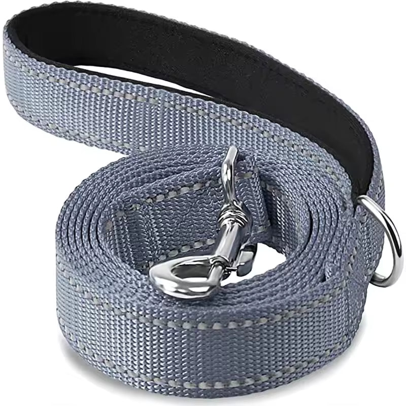 Laisse pour chien gris