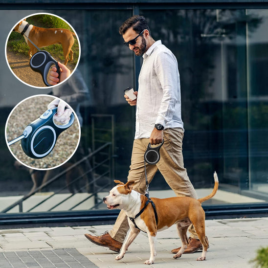 Laisse pour chien informatif marchant avec homme