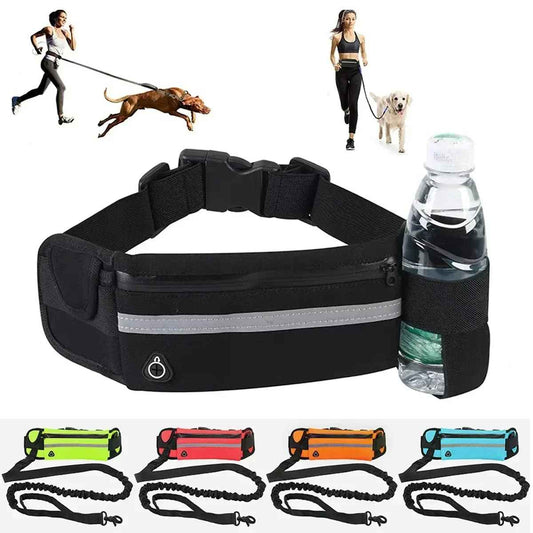 Laisse pour chien main libre avec bouteille et couleur differente