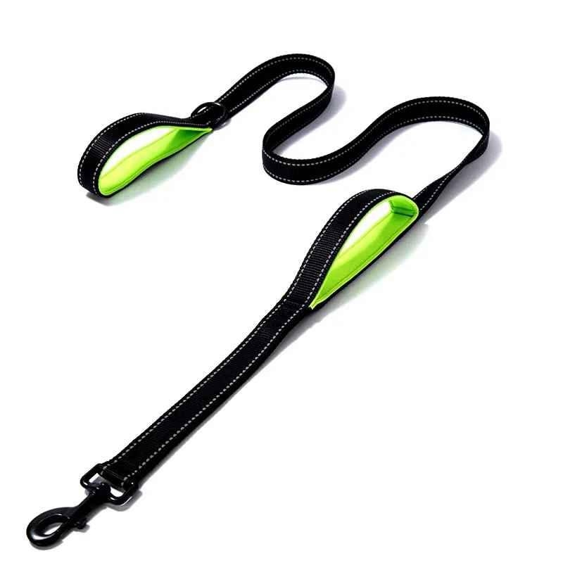 Laisse pour chien noir et vert