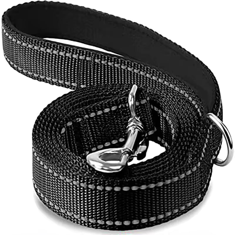 Laisse pour chien noir