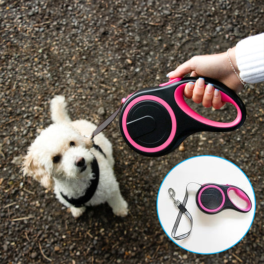 Laisse pour chien petit chien blanc