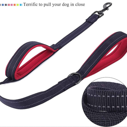 Laisse pour chien photo demonstrative