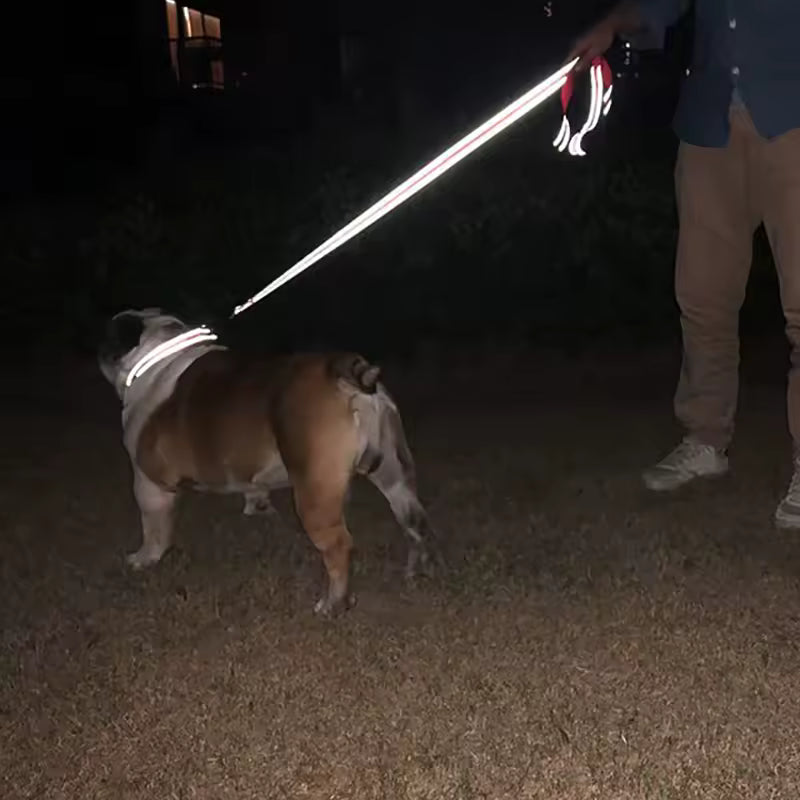 Laisse pour chien reflechissante